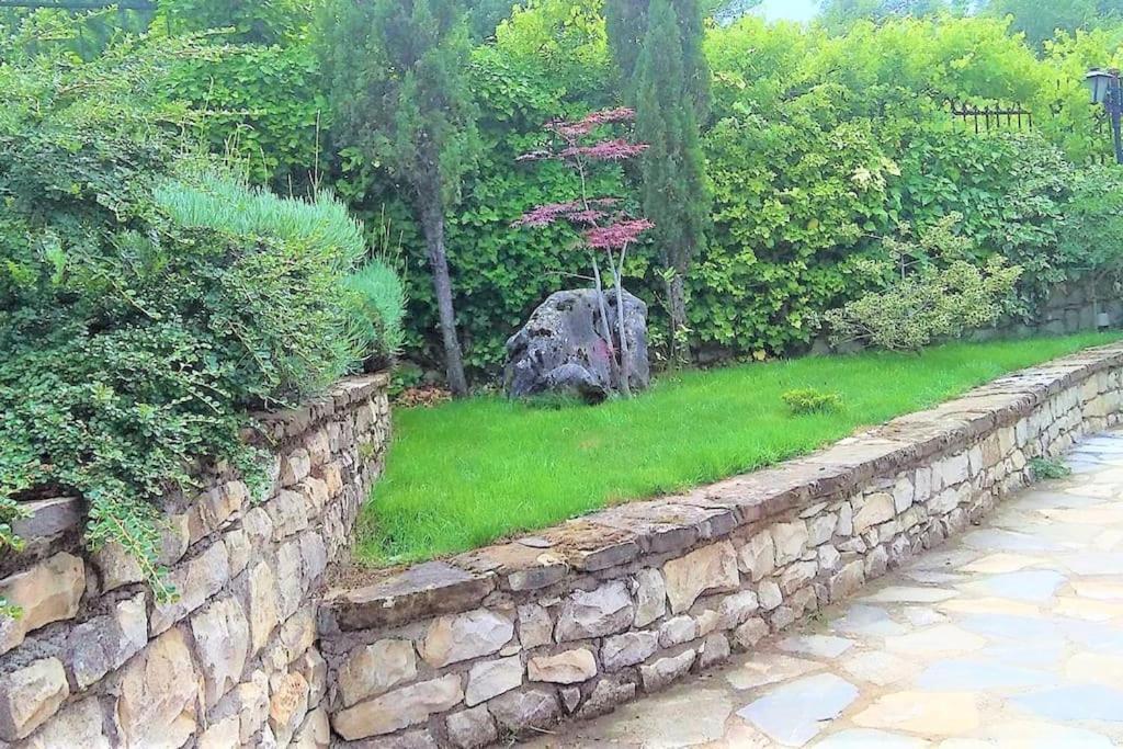 Villa Tethys Mountain Resort Zakas Bagian luar foto