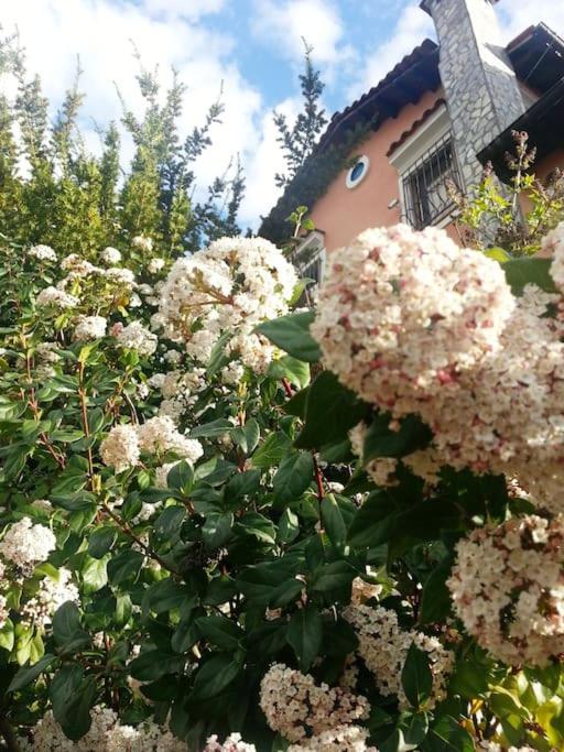 Villa Tethys Mountain Resort Zakas Bagian luar foto