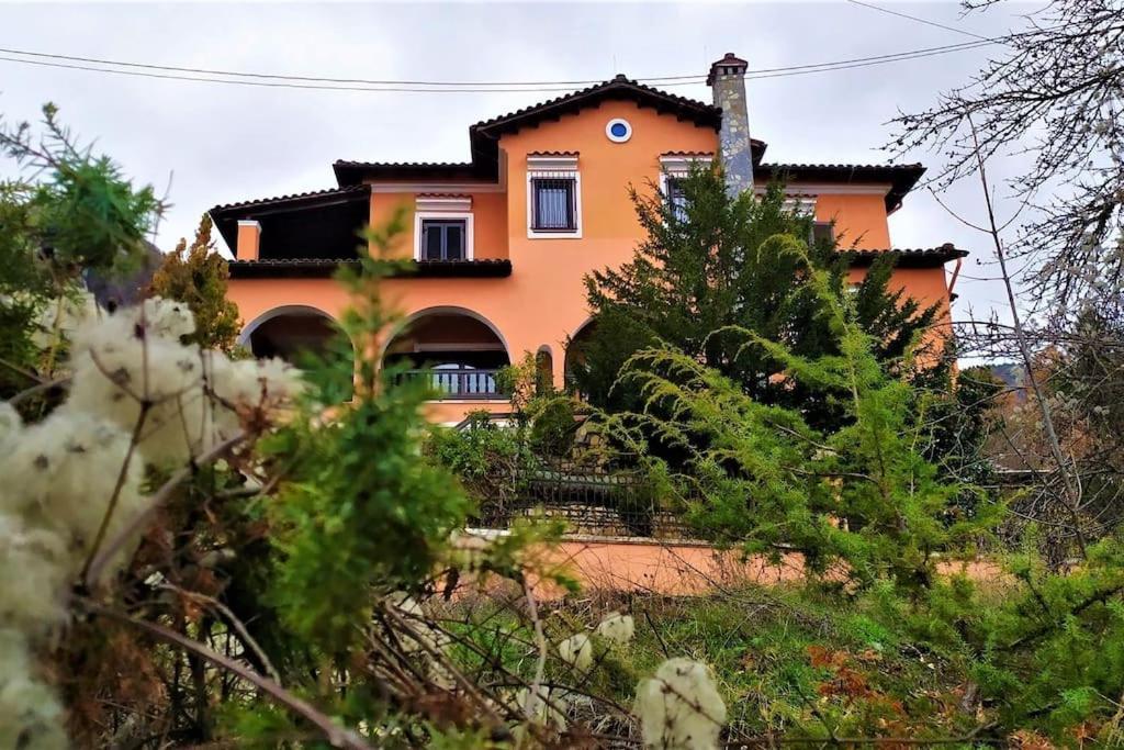 Villa Tethys Mountain Resort Zakas Bagian luar foto