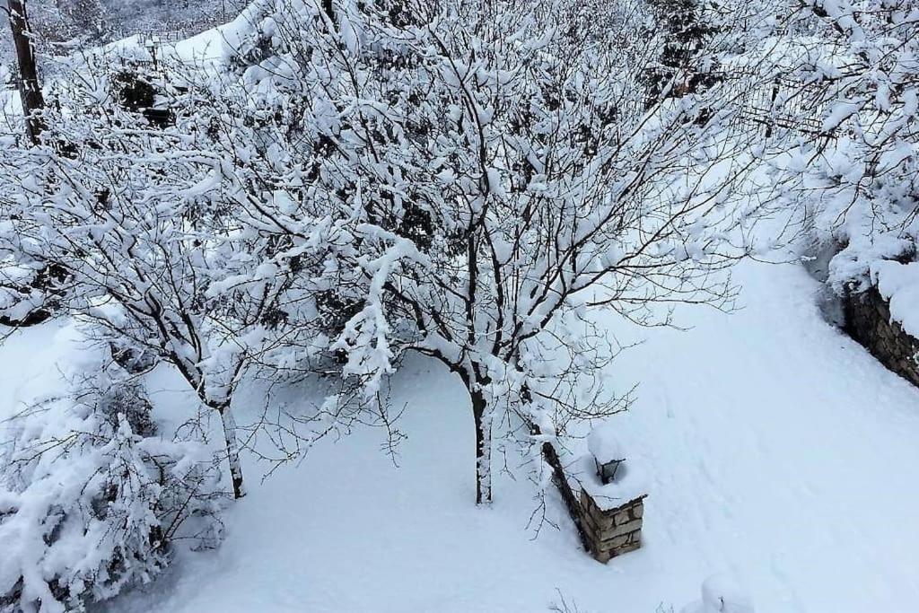 Villa Tethys Mountain Resort Zakas Bagian luar foto