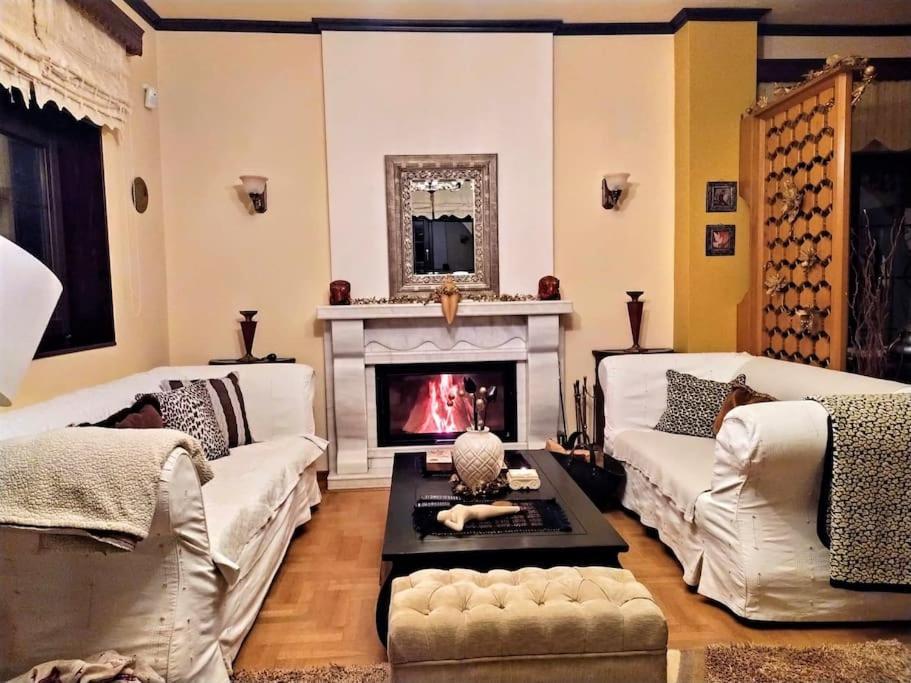 Villa Tethys Mountain Resort Zakas Bagian luar foto