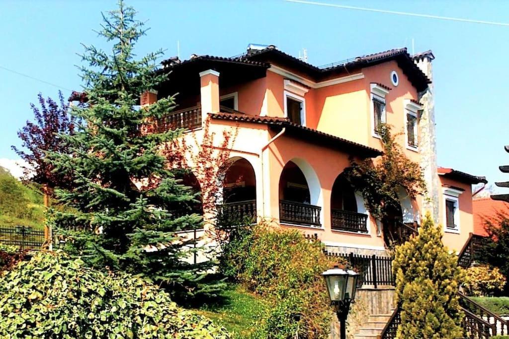Villa Tethys Mountain Resort Zakas Bagian luar foto