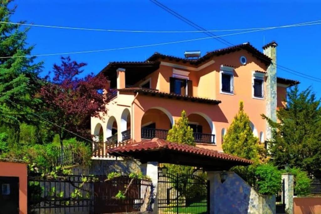 Villa Tethys Mountain Resort Zakas Bagian luar foto