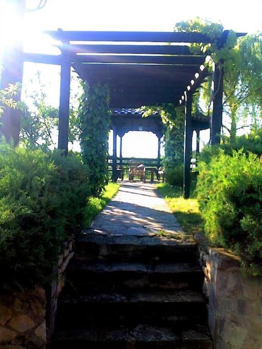Villa Tethys Mountain Resort Zakas Bagian luar foto