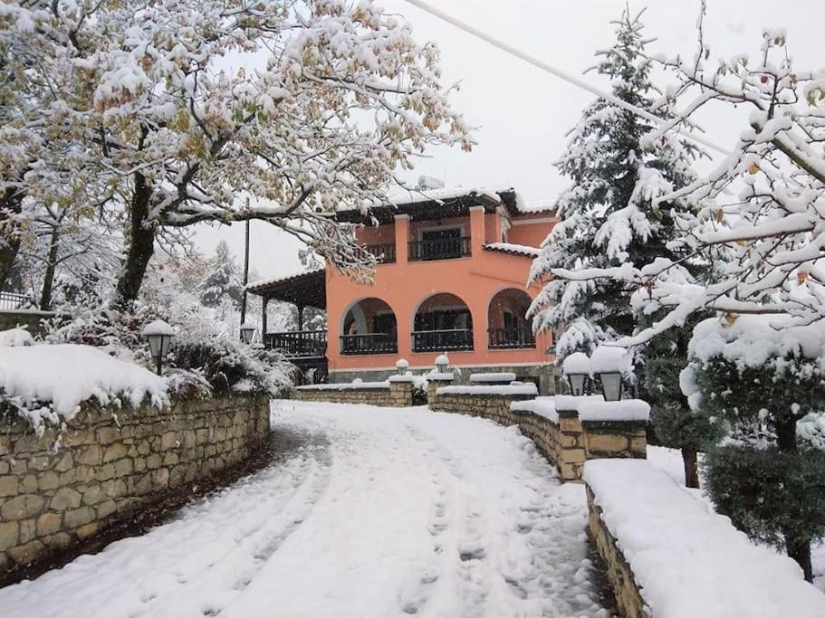 Villa Tethys Mountain Resort Zakas Bagian luar foto