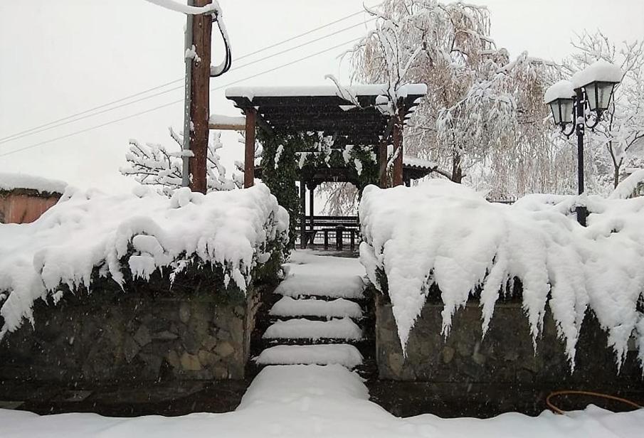 Villa Tethys Mountain Resort Zakas Bagian luar foto